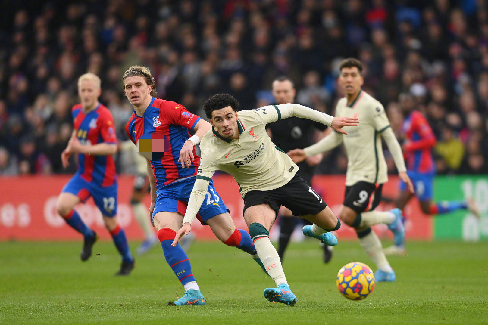 又具有较高 又具有较高