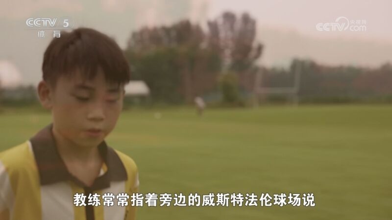 狄龙在板凳 狄龙在板凳